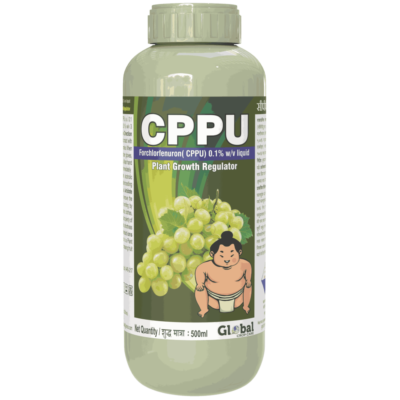 CPPU (Forchlorfenuron 0.1% liquid)